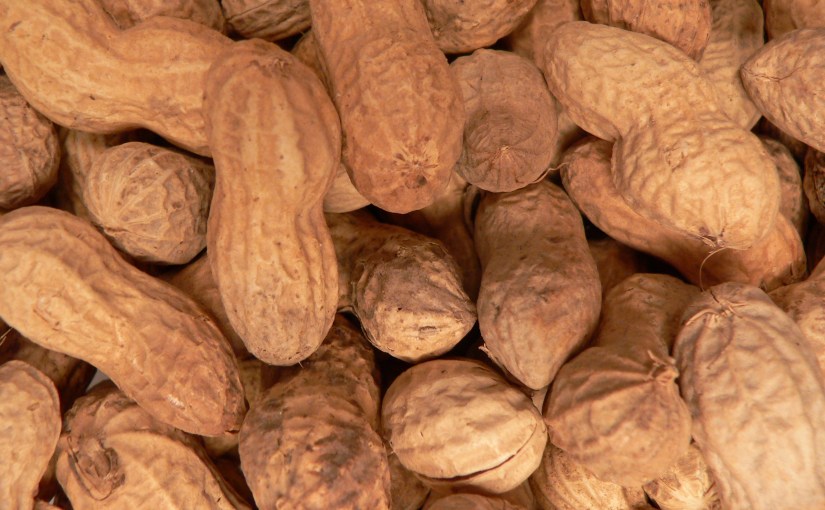 How to Fail&nbsp;Spectacularly